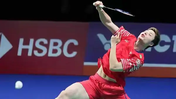 amp, 告负, 适应了石宇 amp, 告负, 适应了石宇